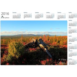 Kanto - Vuosikalenteri
