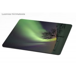 Revontulikoivu - Hiirimatto...