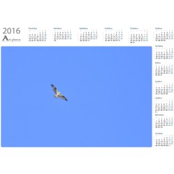 Kalasääski - Vuosikalenteri
