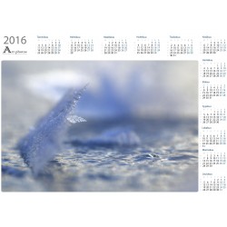 Poikkeama - Vuosikalenteri