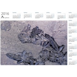 Printattu jää - Vuosikalenteri
