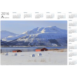 Pyöröpaalit - Vuosikalenteri