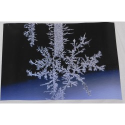 Lumihiutalepuu - 70x50cm juliste