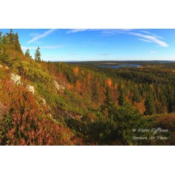 Värikäs rinne - HD - Palapeli