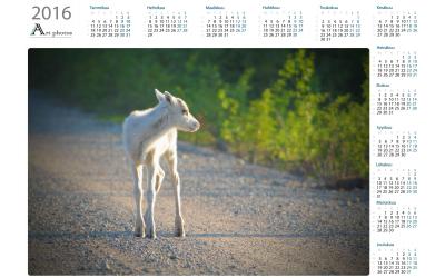 Eläimet, linnut ja hyönteiset vuosikalenterit | Kattava valikoima laadukkaita vuosikalentereita